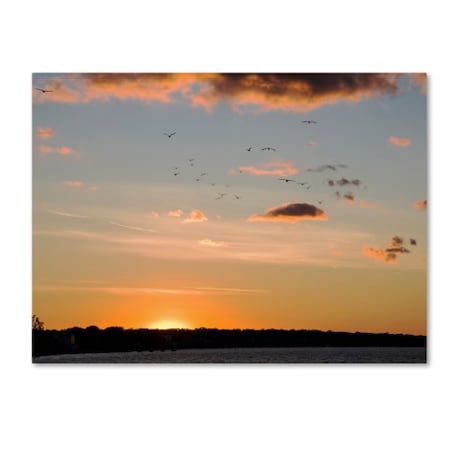 Kurt Shaffer 'Seagull Sunset' Canvas Art,18x24